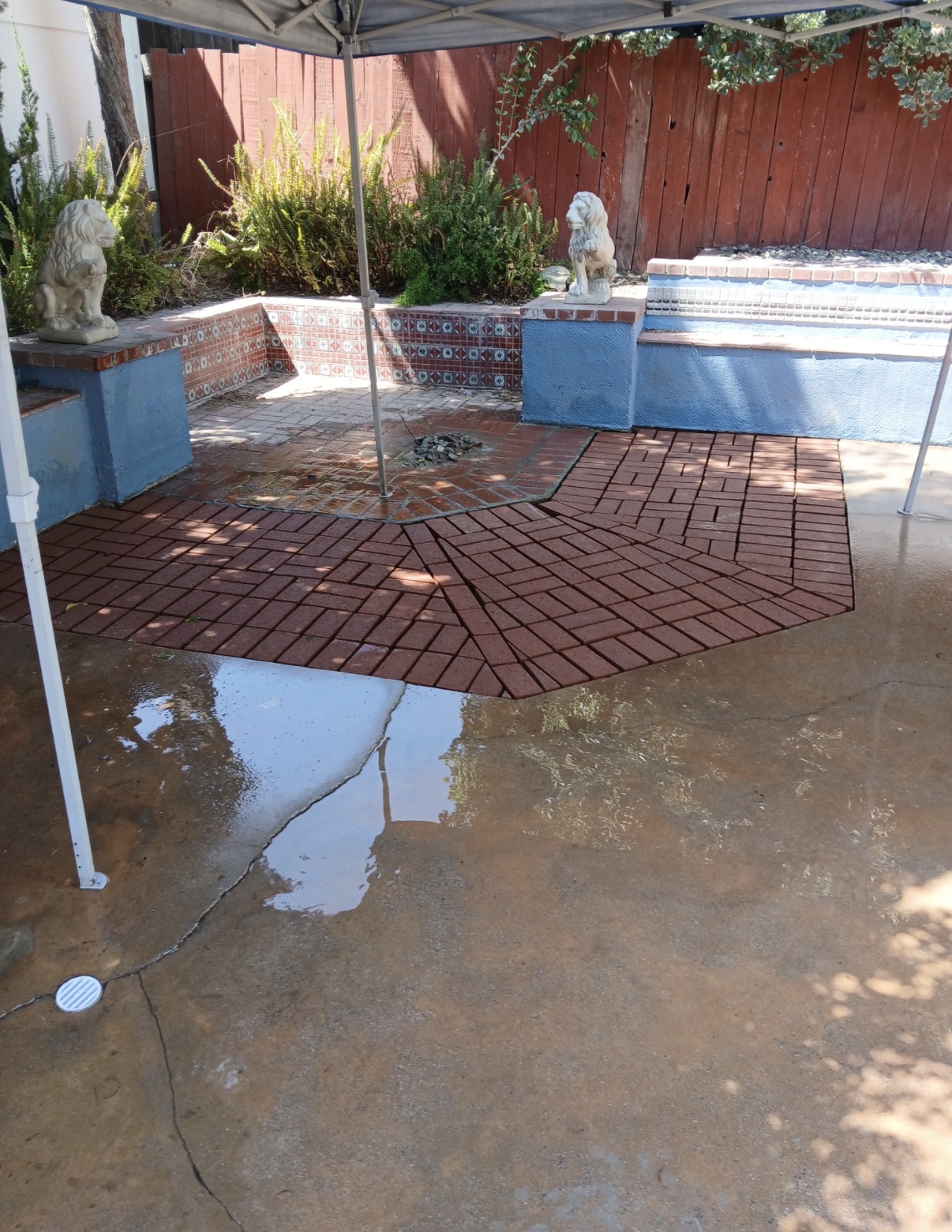 Fresh new brick pavers in custom herringbone pattern